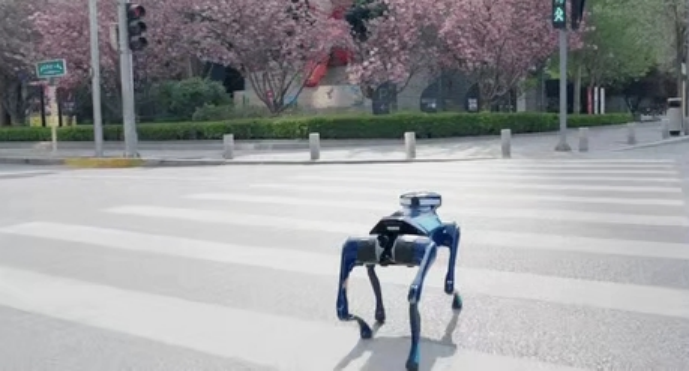 深度丨AGI竞速的另类解法，高德以机器导盲犬入局的思考