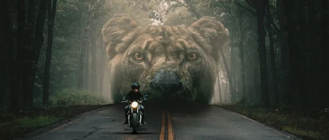比特币后市如何？一起看看链上数据！